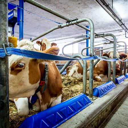 Ferienwohnungen Am Biobauernhof Lahner Bramberg am Wildkogel Eksteriør billede