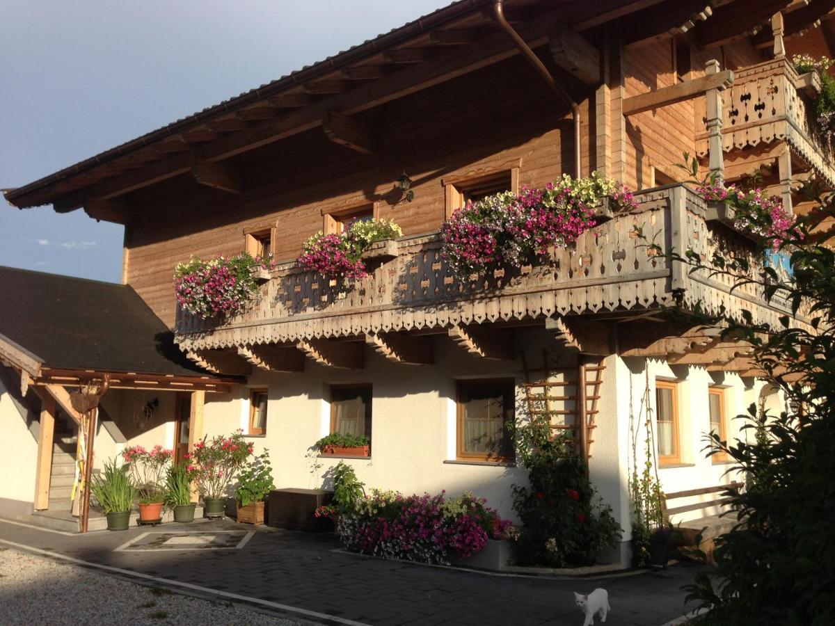 Ferienwohnungen Am Biobauernhof Lahner Bramberg am Wildkogel Eksteriør billede